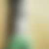 Echevette  de coton à broder  retors dmc , numero 4  , coloris 2954 vert  clair 
