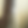 Echevette  de coton à broder  retors dmc , numero 4  , coloris 2642 beige 