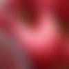 Ruban polyester double face ,  largeur 2,5 cm , coloris rouge foncé 
