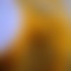 Deux mètres de ruban  organza en  polyester  ,  coloris  jaune soleil , largeur 11 mm
