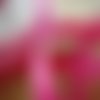 Ruban de satin x 2 mètres , largeur 1 cm , coloris fuchsia