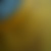 Ruban  mousseline en  polyester  ,  coloris jaune , largeur 25 mm