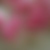 Boutons  ronds  , coloris  rose marbré  et transparent pailletté  , diamètre 23 mm