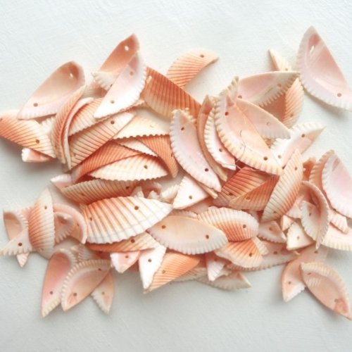 Perle coquillage connecteur, coquillage corail, perle naturel, intercalaire, lien,