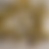 25 coupelles incurvees  couleur dorées  diam 10 mm 