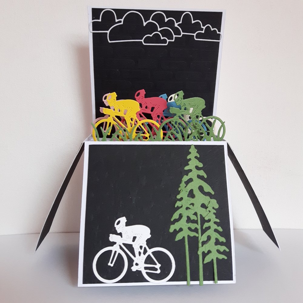 Carte 3d Pour Un Cycliste Un Grand Marche