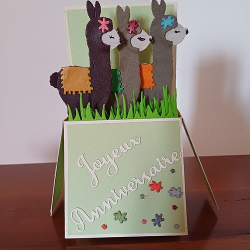 Carte 100% fait main dans une boite originale lama