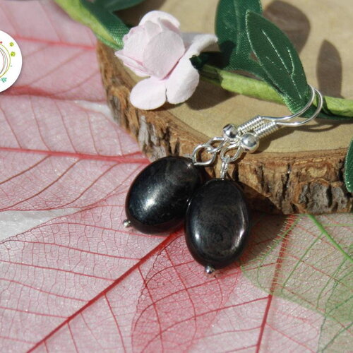 Boucles d'oreilles en hyperstene