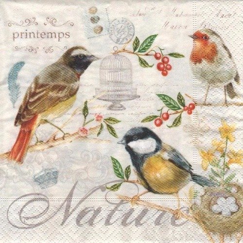 Serviette en papier "les oiseaux - nature"
