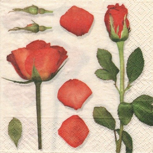 Petite serviette en papier "roses"