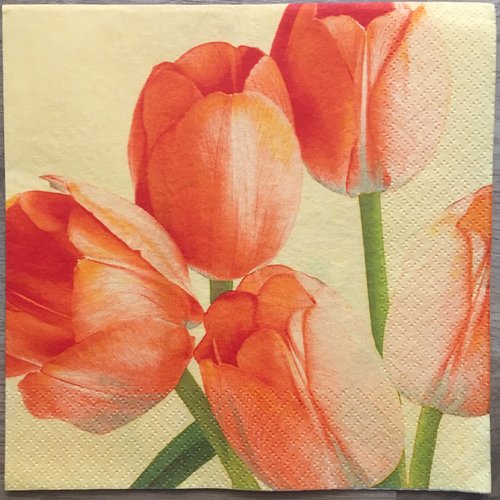 293 4 serviettes motif serviettes serviettes technique tulipes & jonquilles