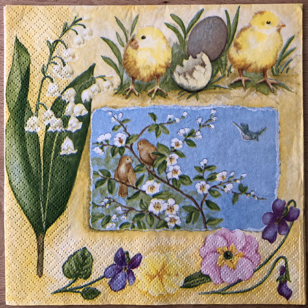 Gratuit Images Serviette En Papier L Eclosion Du Printemps Un Grand Marche dernière salutations