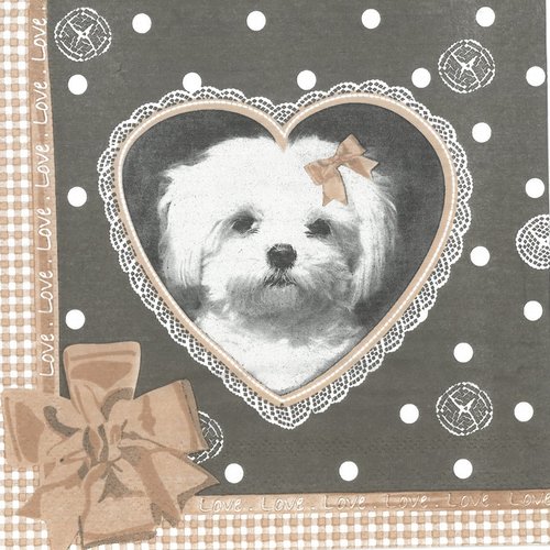 Serviette en papier "pretty bichon maltais"