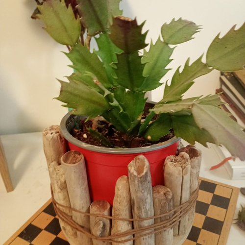 Bougeoir bois flotté