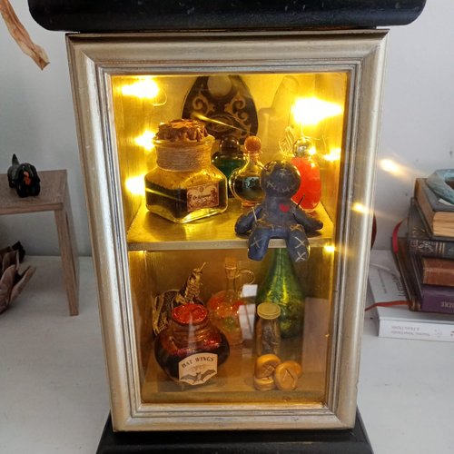 Cabinet de curiosités