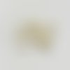 Lot de 10 perles de culture – forme ovale irrégulière – perçage transversal – 7 mm
