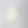 Perle ovale en nacre naturelle irisée – 46 x 31 mm – pièce unique - n°1