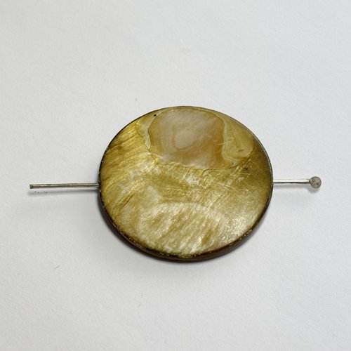 Perle en nacre teintée verte dorée - disque 30 mm de diamètre - n°1