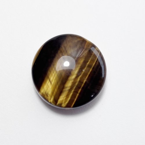 1 perle œil de tigre, disque bombé 20 mm n°5
