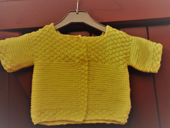 Gilet Sans Manche Bebe Tricot Main 6 9mois Un Grand Marche