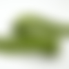 Dentelle en coton vert olive larg 2.5cm identique recto/verso