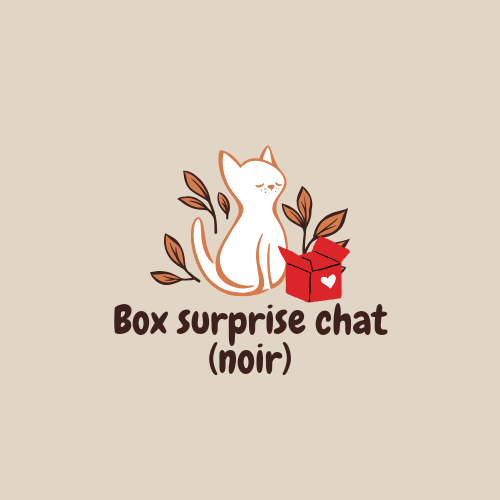 Box surprise chat noir