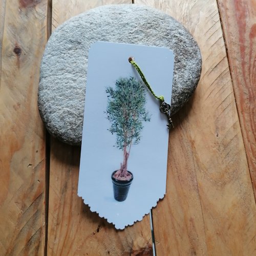 Marque page papier l'olivier papier plastifié