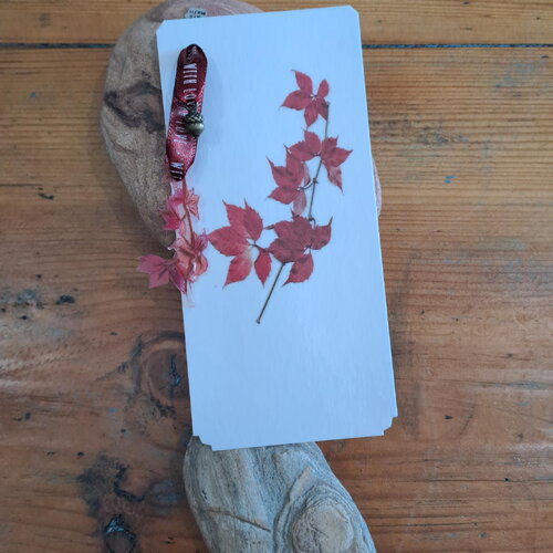 Marque-page vigne rouge
