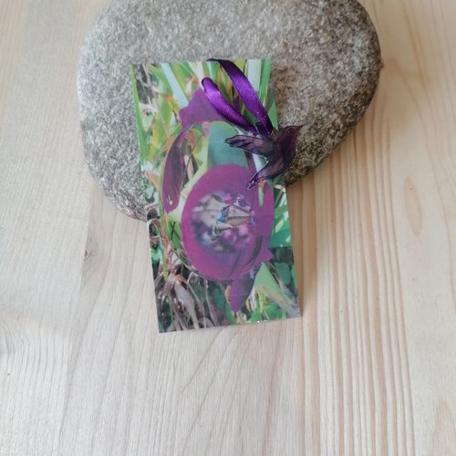 Marque-pages colibris violet fleur iris