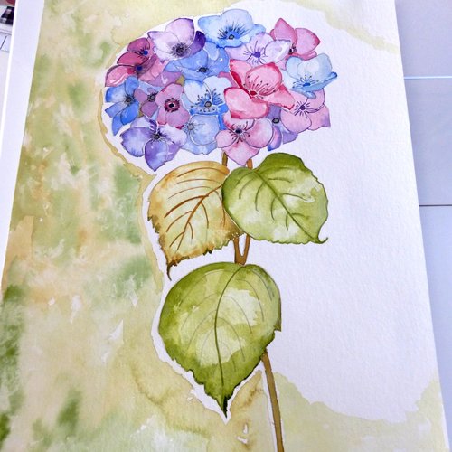 Aquarelle originale "fleur hortensia" tons bleu/mauve et fond vert