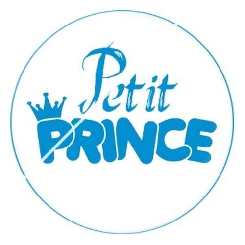 Cabochon résine à coller 25 mm petit prince 2