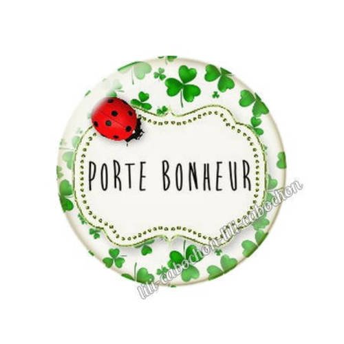 Cabochon résine a coller 25 mm porte bonheur trèfle coccinelle 2