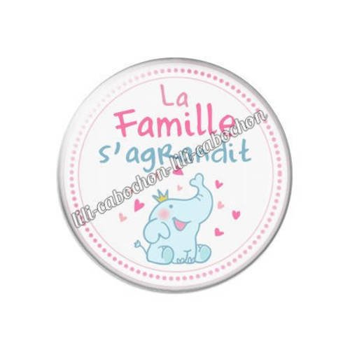 Cabochon résine a coller 25 mm la famille d'agrandit 12