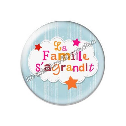 Cabochon résine a coller 25 mm la famille d'agrandit 10