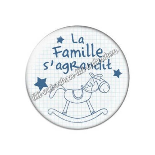 Cabochon résine a coller 25 mm la famille d'agrandit 14