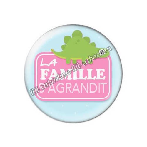 Cabochon résine a coller 25 mm la famille d'agrandit 1