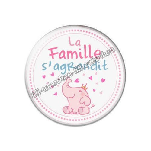 Cabochon résine a coller 25 mm la famille d'agrandit 7