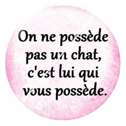 Cabochon résine a coller 25 mm citation sur les chats 6 