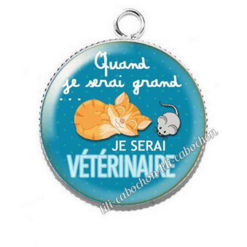 Pendentif cabochon résine quand je serai grand...je serai vétérinaire
