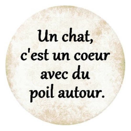 Cabochon résine a coller 25 mm citation sur les chats 2 