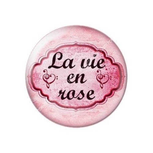 Cabochon résine a coller 25 mm la cage aux oiseaux c26 