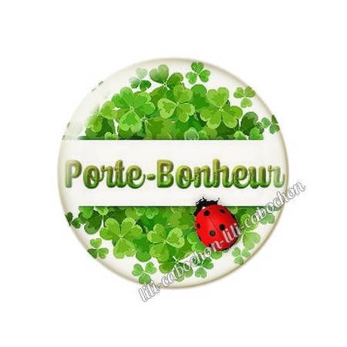Cabochon résine a coller 25 mm porte bonheur trèfle coccinelle 3