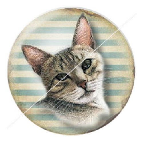 Cabochon résine a coller 25 mm chat minette tribu 13 