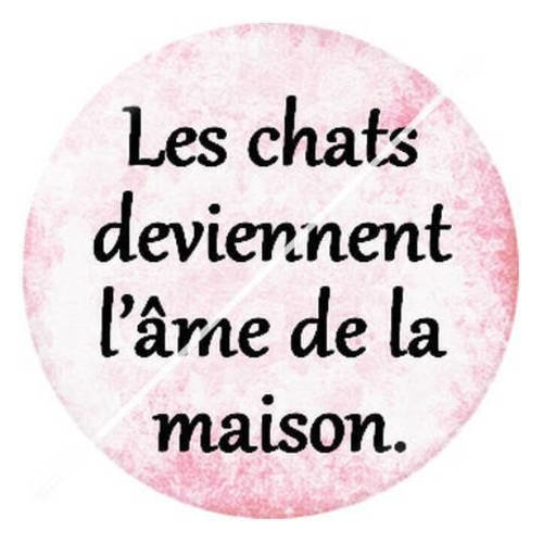 Cabochon résine a coller 25 mm citation sur les chats 10 