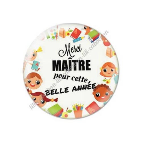 Cabochon résine a coller 25 mm maître s17 