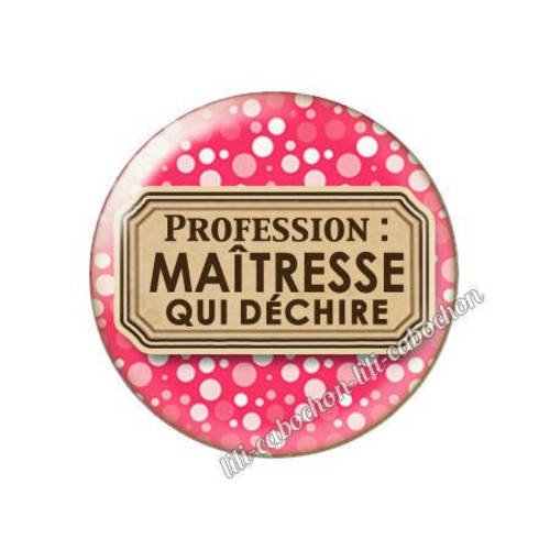 Cabochon résine a coller 25 mm profession maîtresse p51 