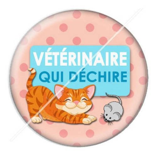 Cabochon résine a coller 25 mm vétérinaire 13 