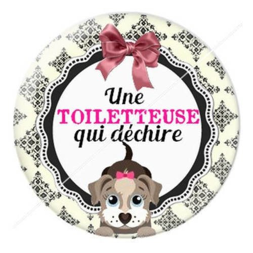 Cabochon résine a coller 25 mm toiletteuse 10 