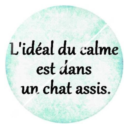 Cabochon résine a coller 25 mm citation sur les chats 4 