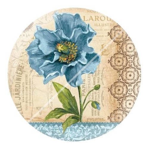 Cabochon résine a coller 25 mm shabby b3 